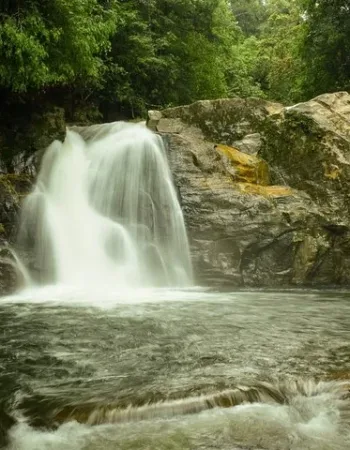 Sinharaja Expedition – Tour Guide in Sinharaja Rainforest